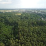 DCIM100MEDIADJI_0770.JPG